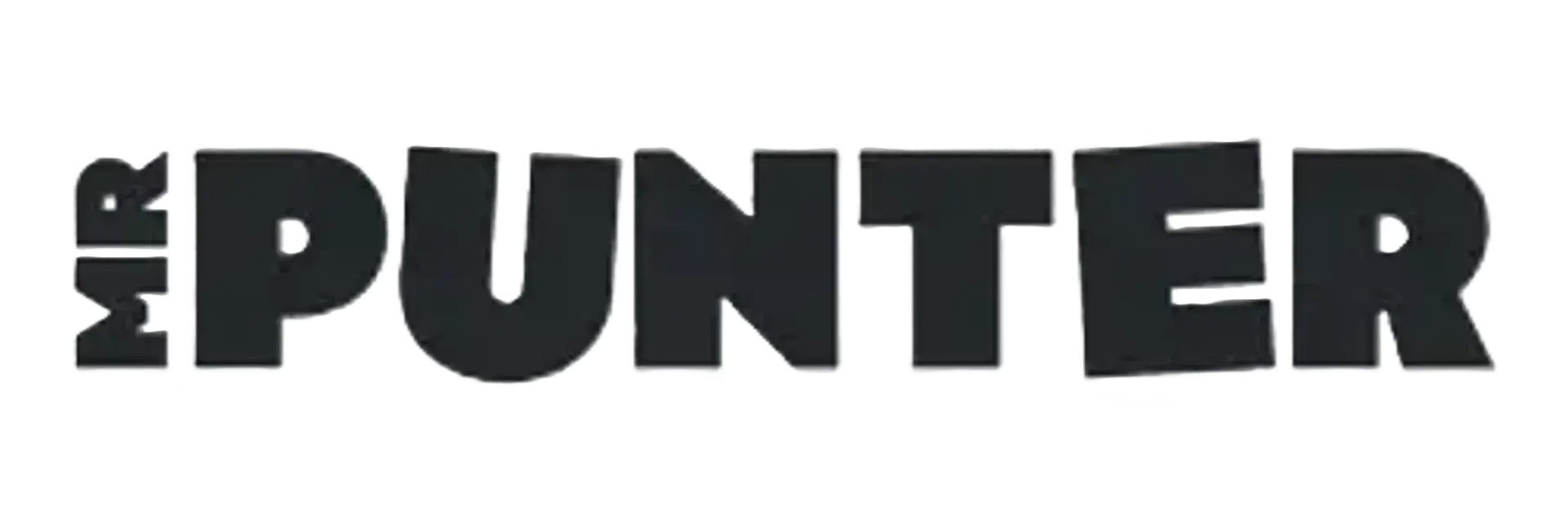Mr Punter casino logo